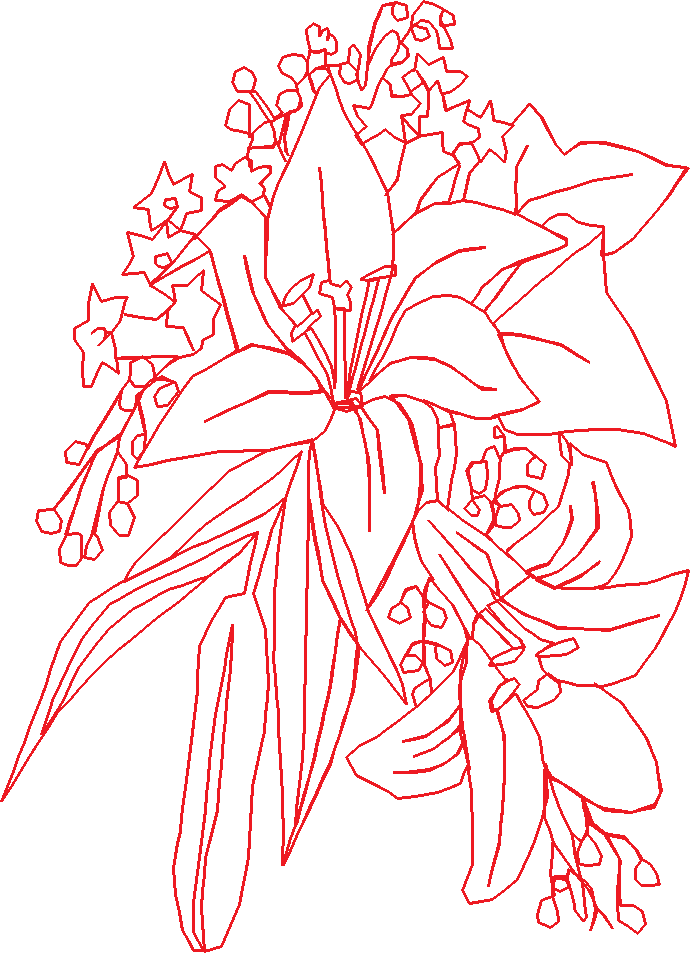 Fb7