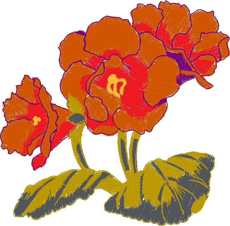 Fl104