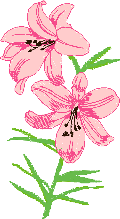 Fl105