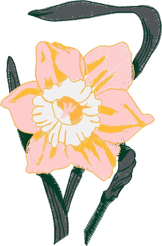 Fl106