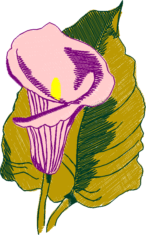Fl107