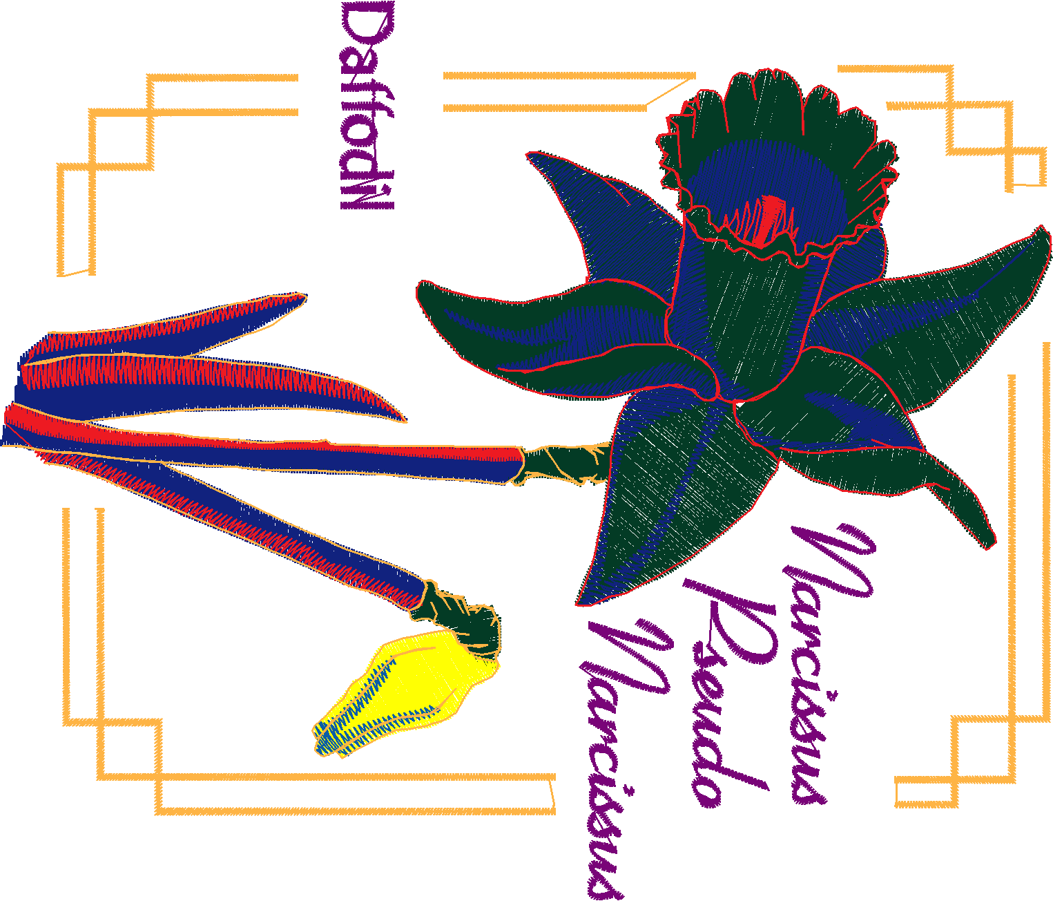 Fl684