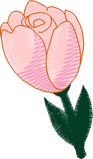 Fl704