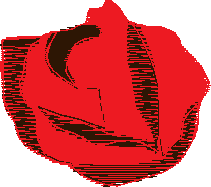 Fl706