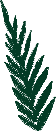 Fl714