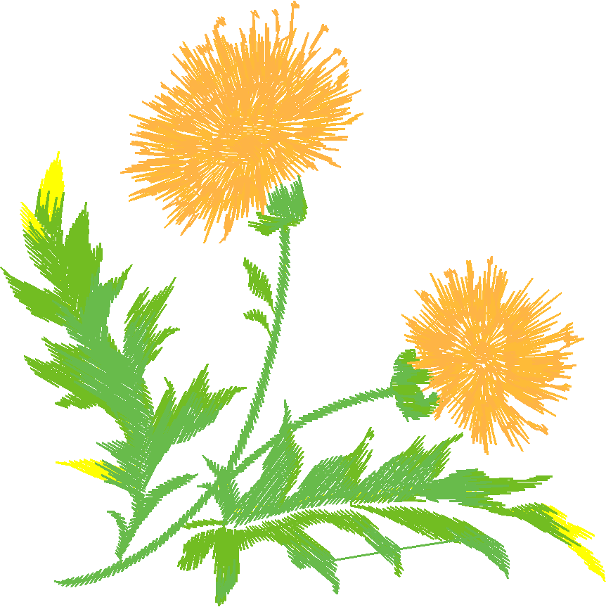 Floral 1013