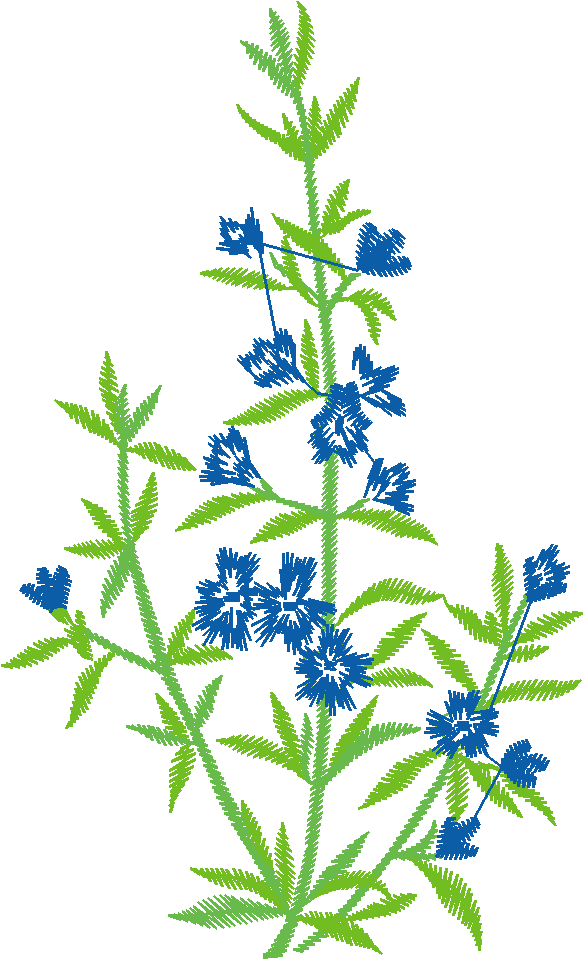 Floral2001 2