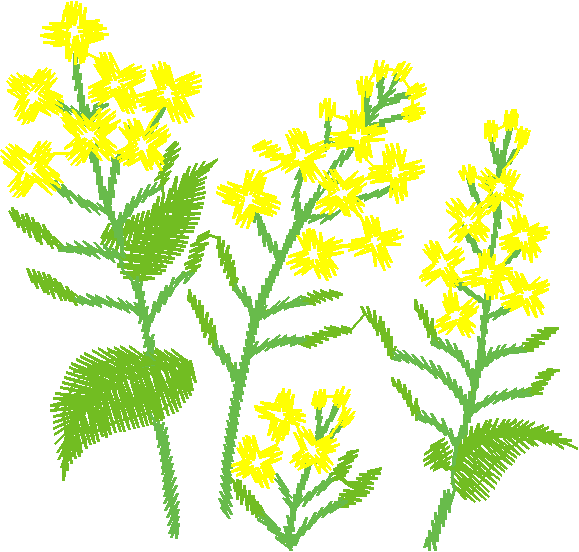 Floral2009