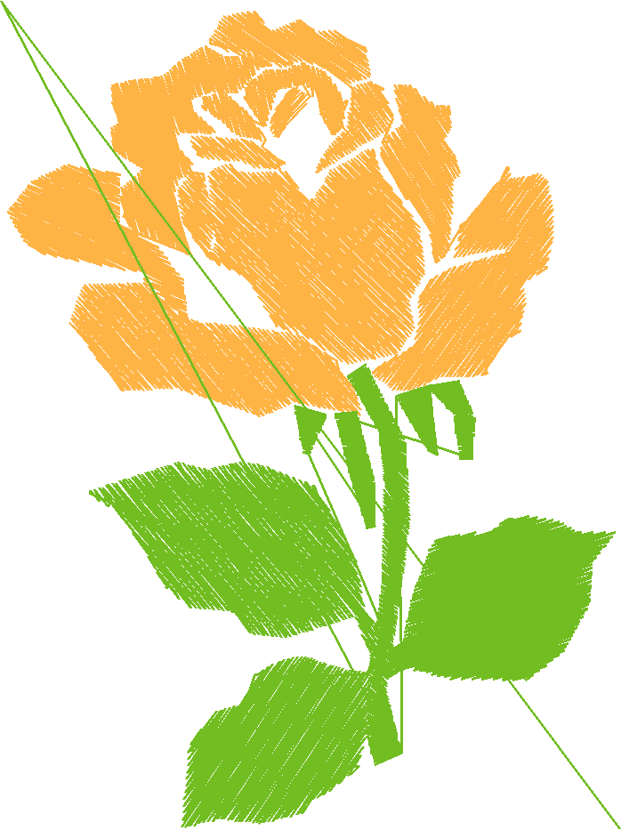 Flower2 A