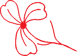 Flower7