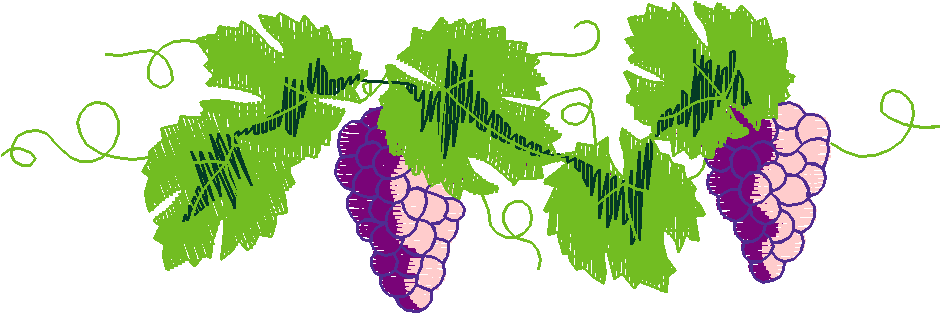 Fm205