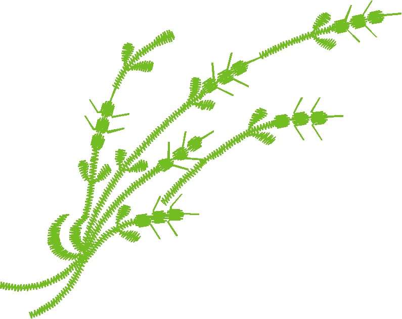 Fr06