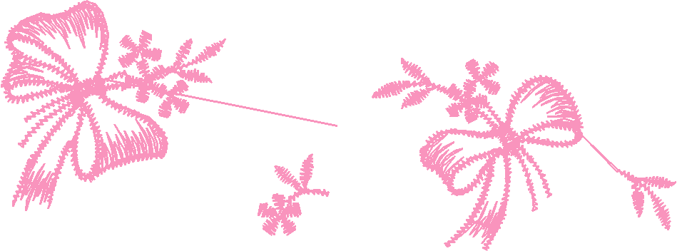 Fr10
