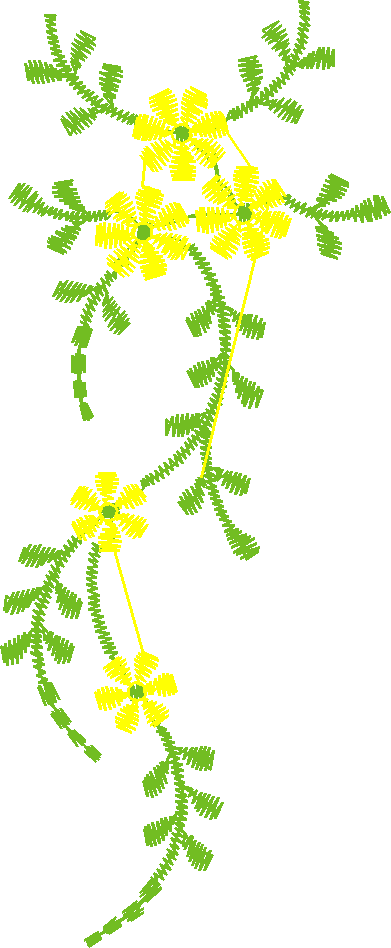 Fr15