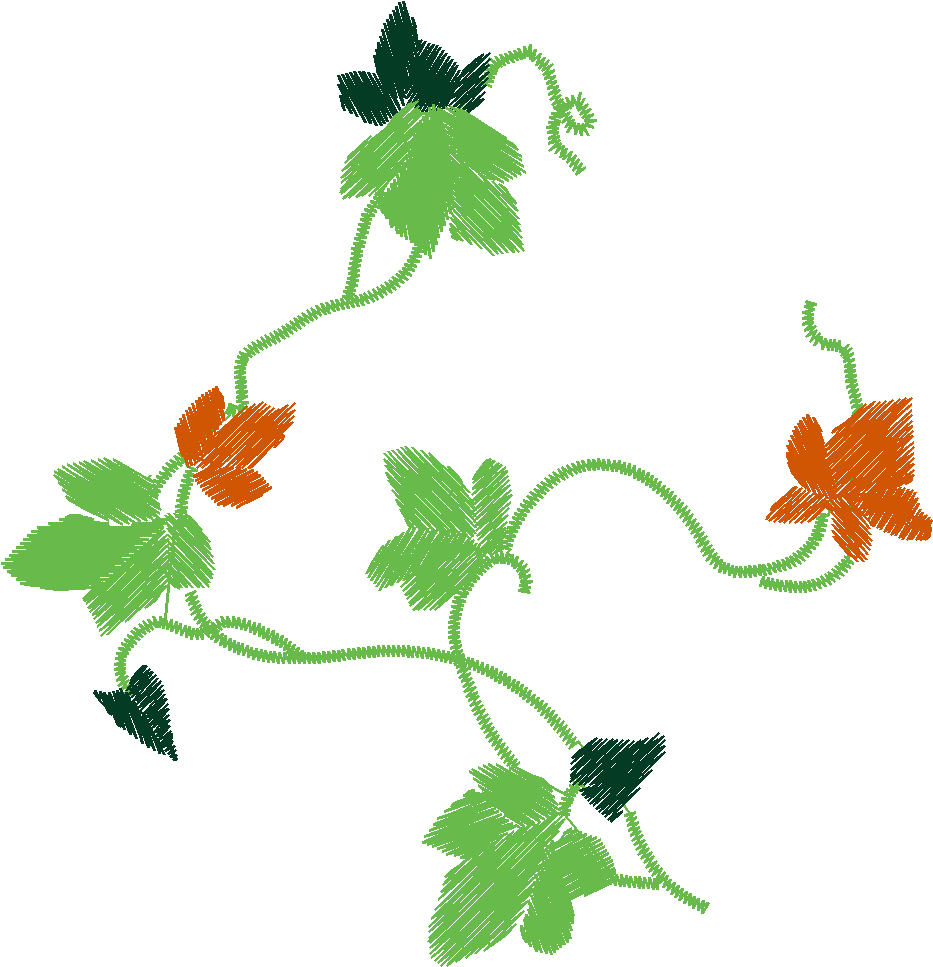 Ivy1