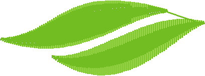 Leaf1