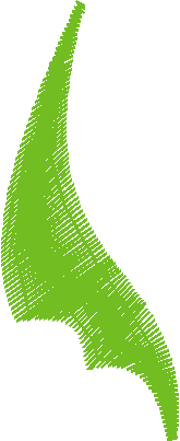Leaf11