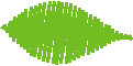 Leaf5