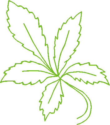 Leaves1