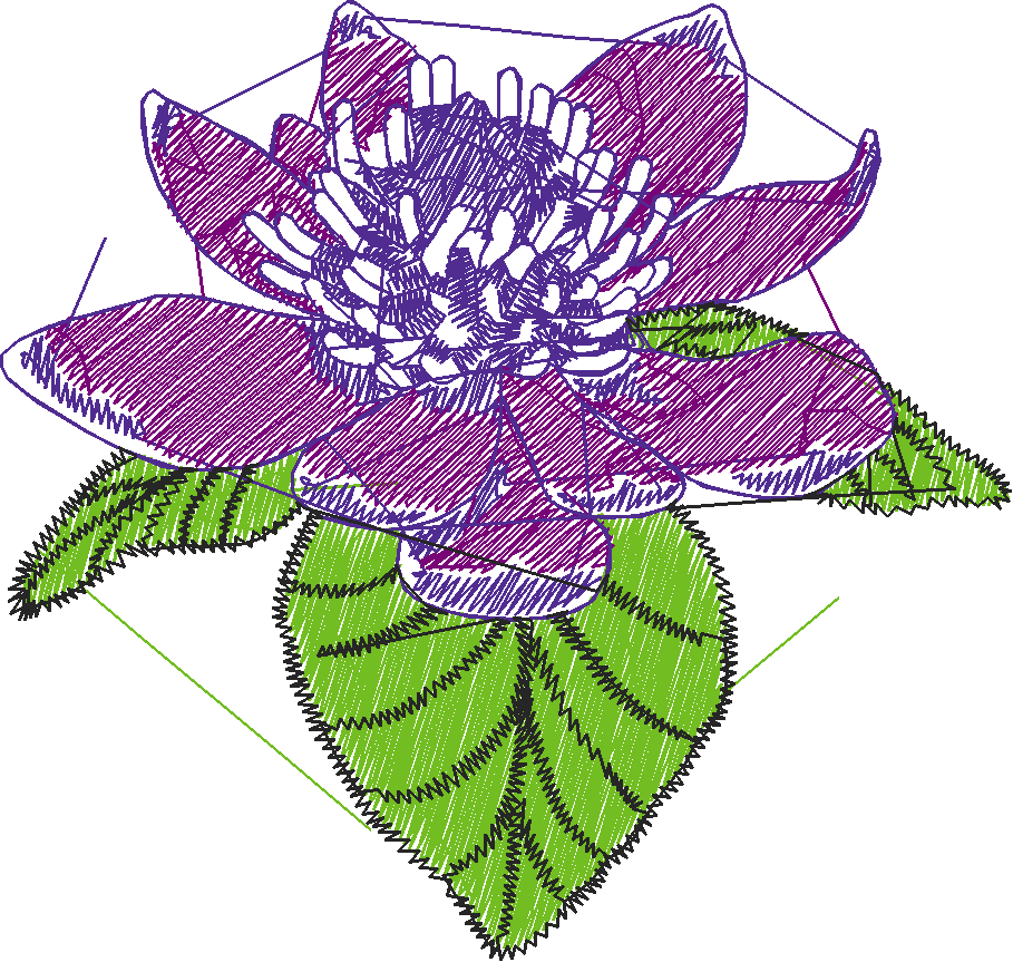 Magnol4