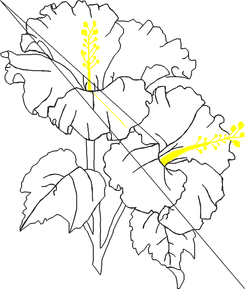 Mdpes6 B
