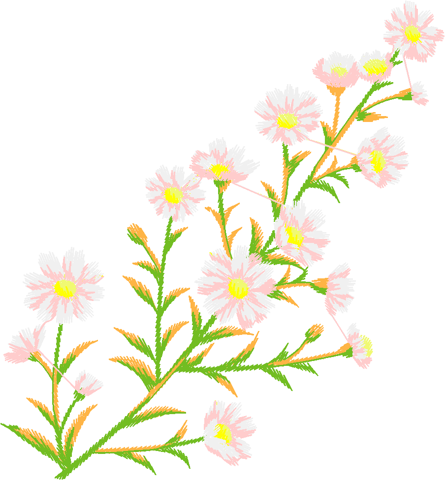 N¦ 31051