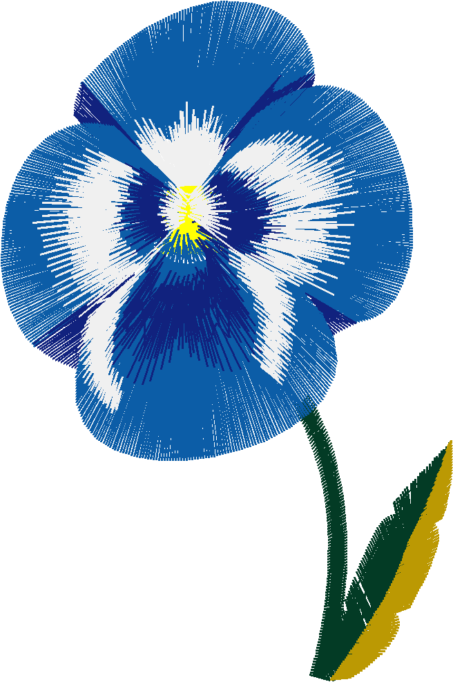Pansy