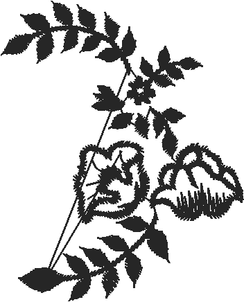 Plfl1008