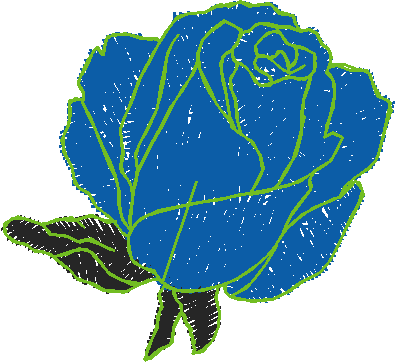 Plfl1016