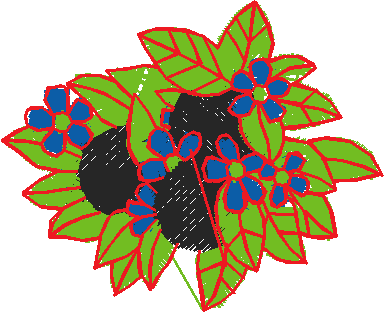 Plfl1030
