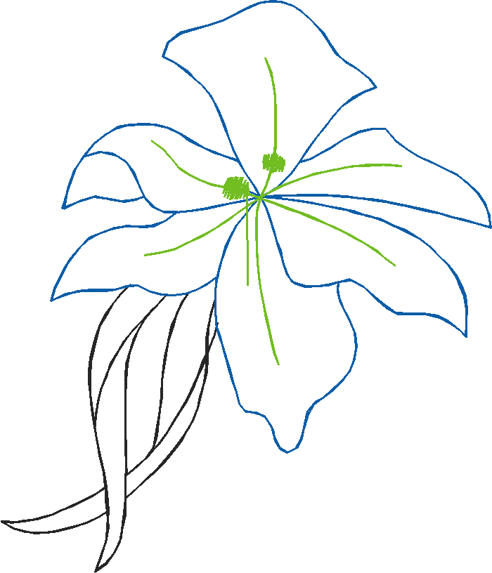 Plfl1034