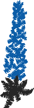 Plfl2025