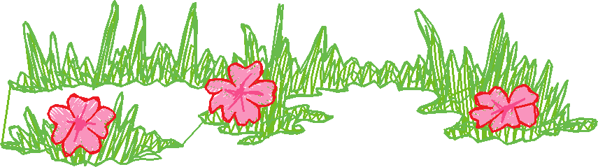 Pp5 020