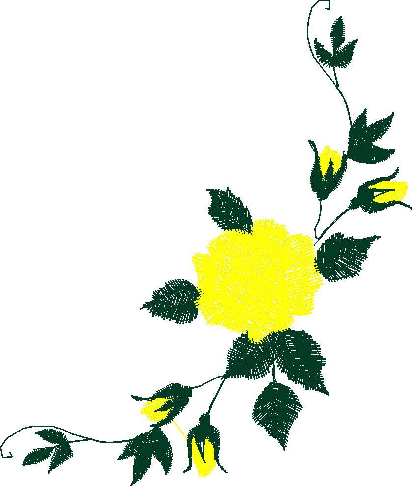 Rose006s