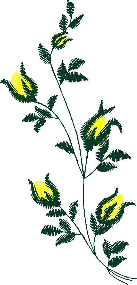 Rose007s