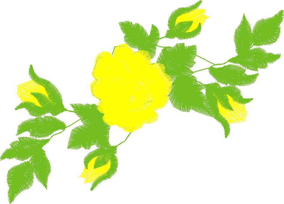 Rose008s