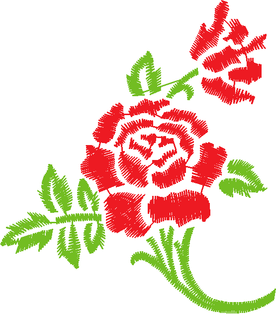 Roses