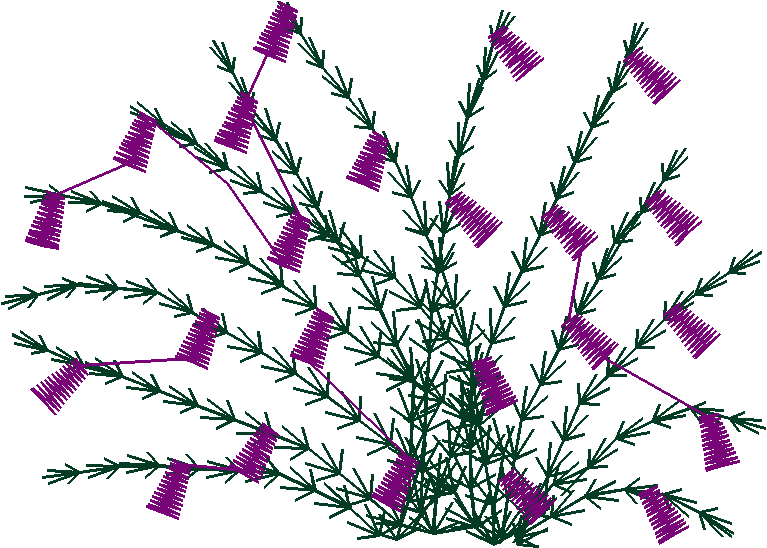 Say0202