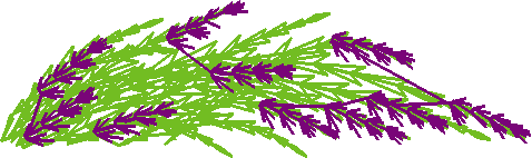 Say0209