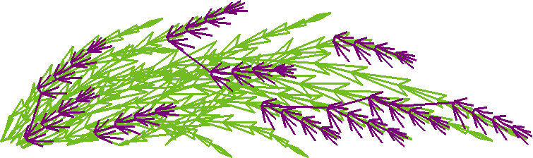 Say0210