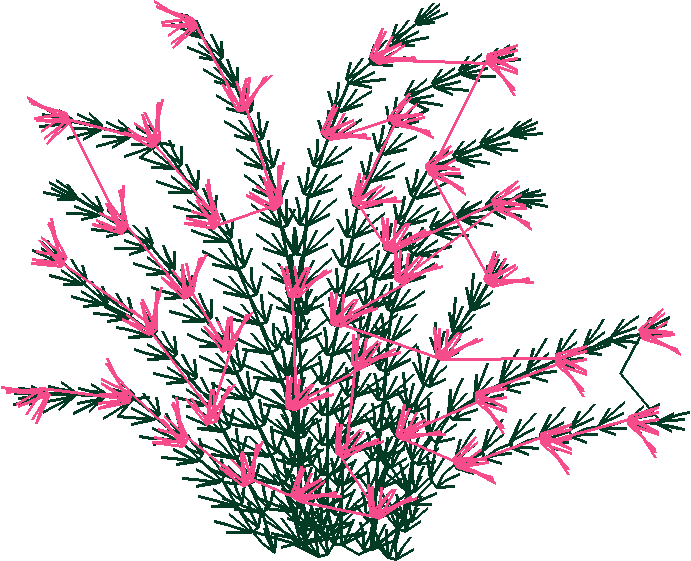 Say0212