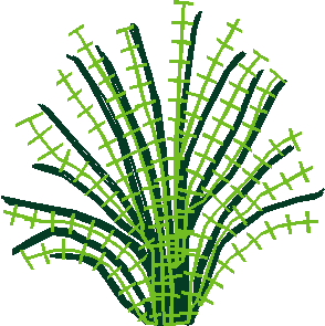 Say0215