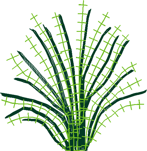 Say0216