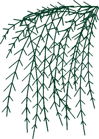 Say0220