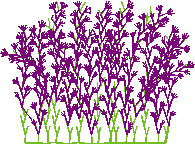 Say0223