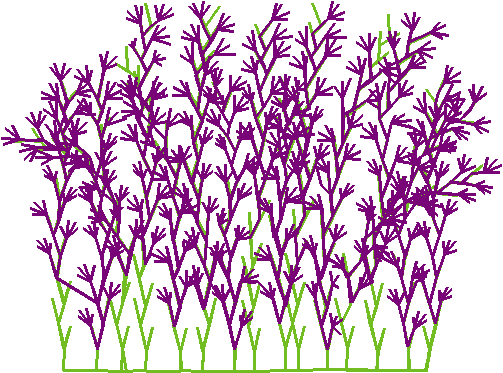 Say0224