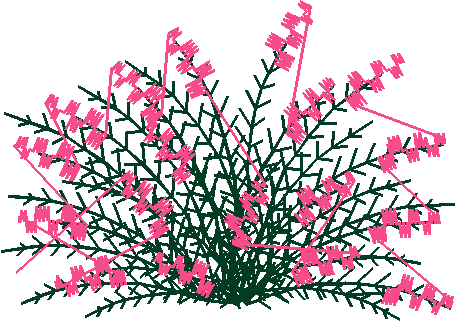 Say0229