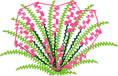 Say0239