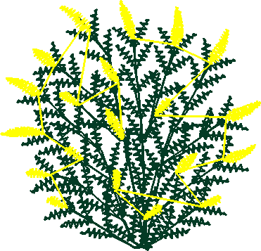 Say0245