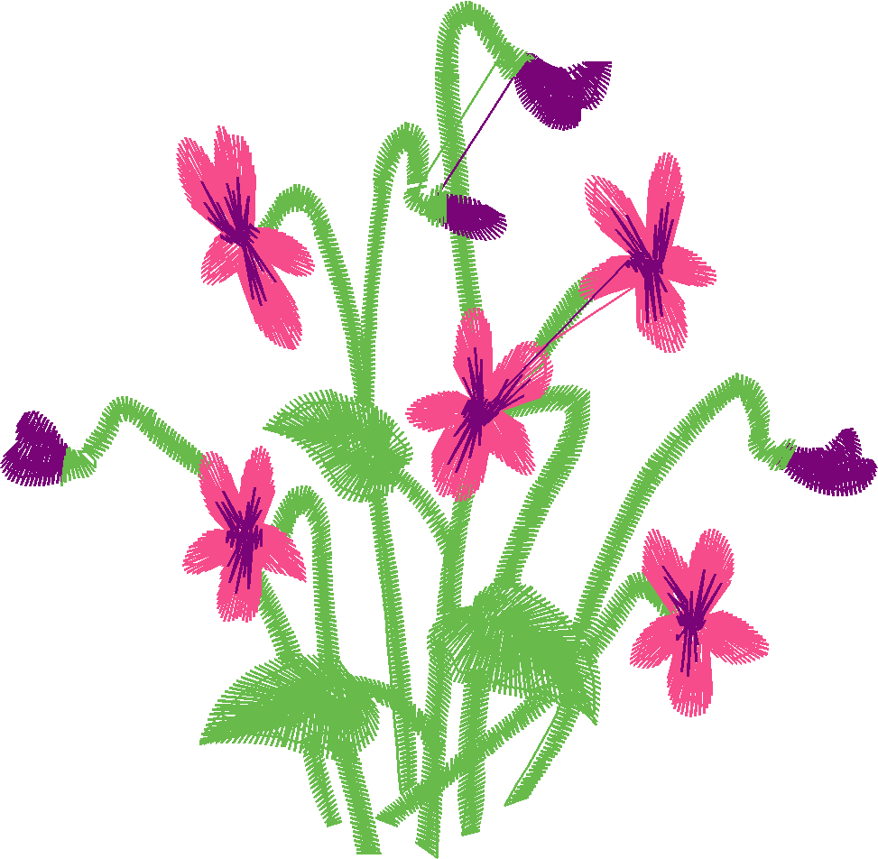 Violette01